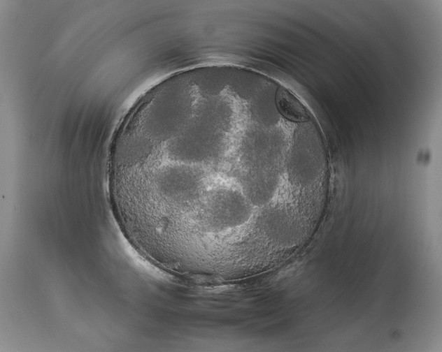 X0000114191143200910231315