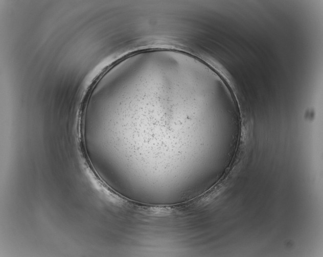 X0000114191144200910231315