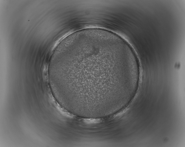 X0000114191145200910231315
