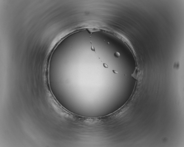 X0000114191146200910231315