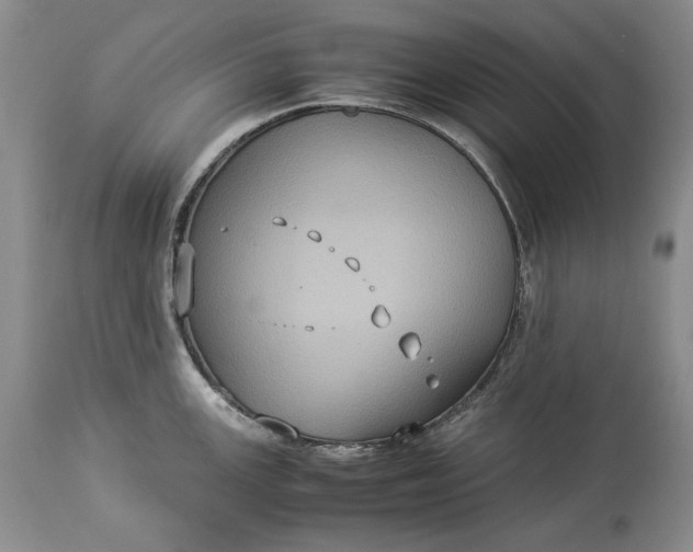 X0000114191147200910231315