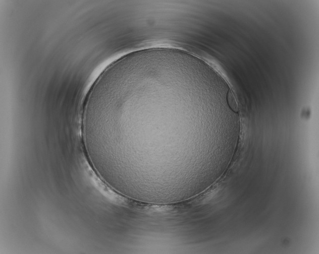 X0000114191148200910231315