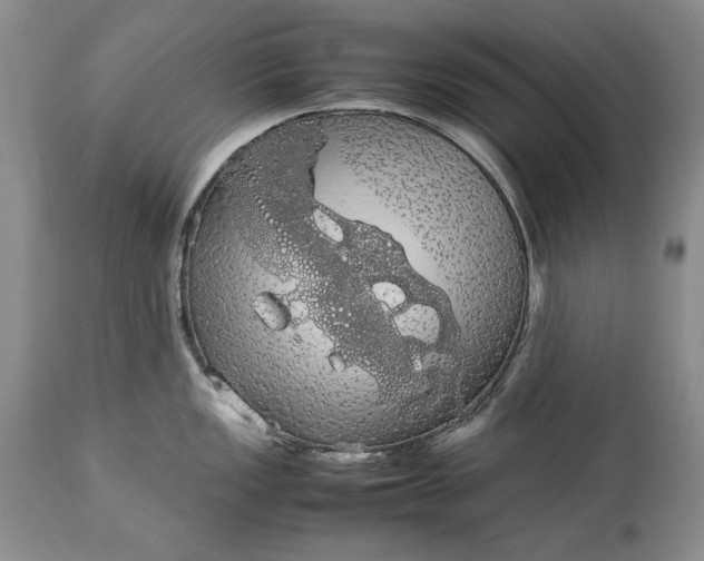 X0000114191149200910231315