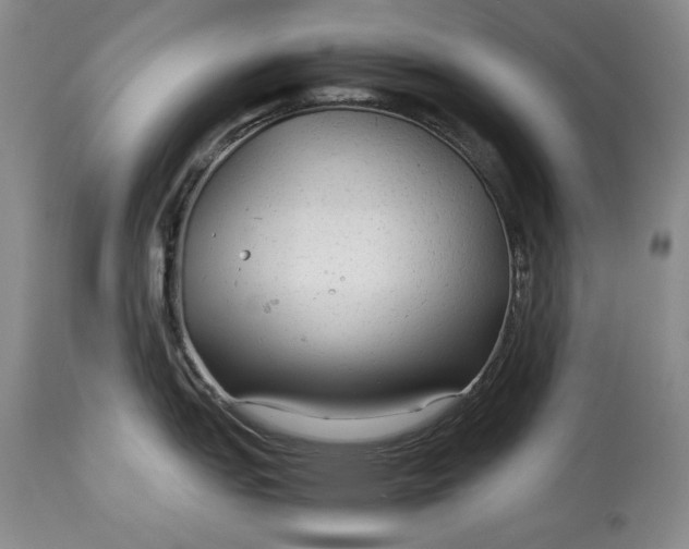 X0000114191151200910231315