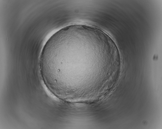 X0000114191152200910231315