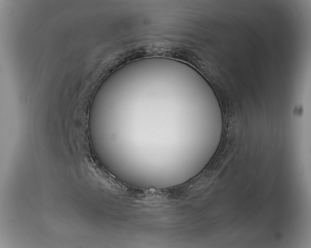 X0000114191153200910231314