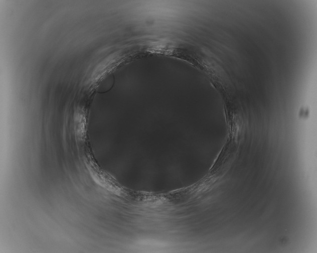 X0000114191154200910231314