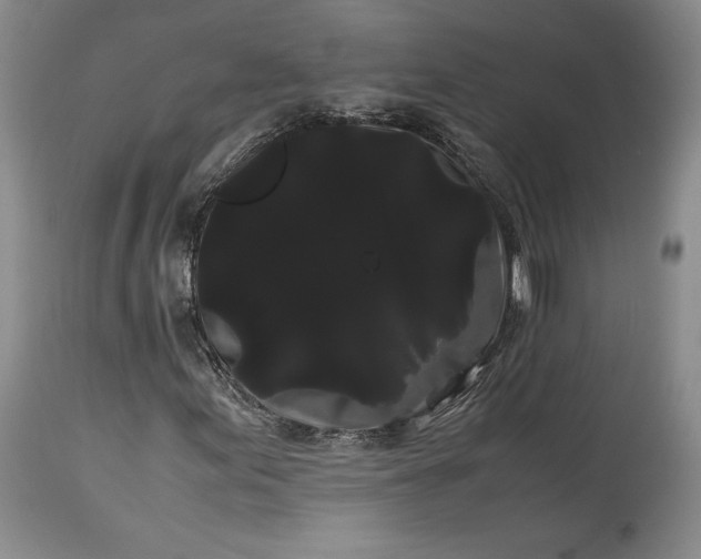 X0000114191155200910231314