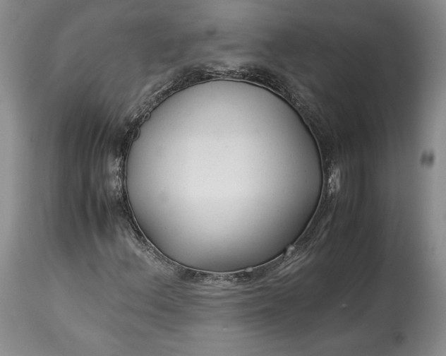 X0000114191156200910231314