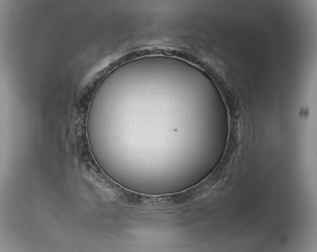 X0000114191159200910231314