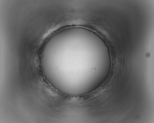 X0000114191160200910231314