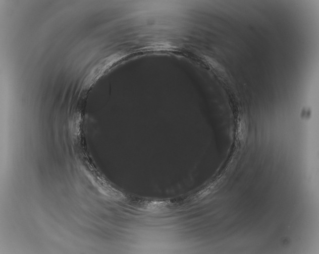 X0000114191161200910231314