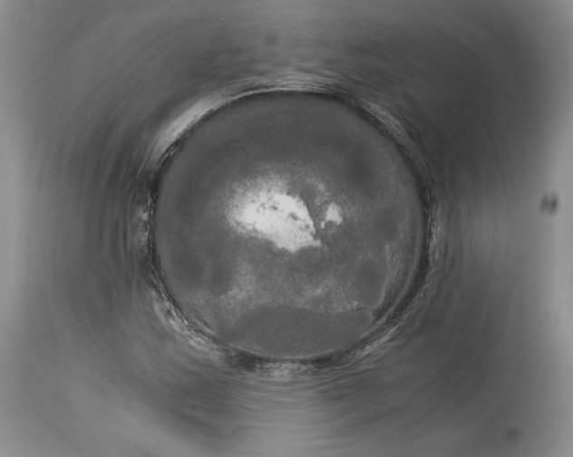 X0000114191163200910231314