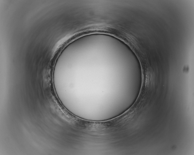 X0000114191164200910231314