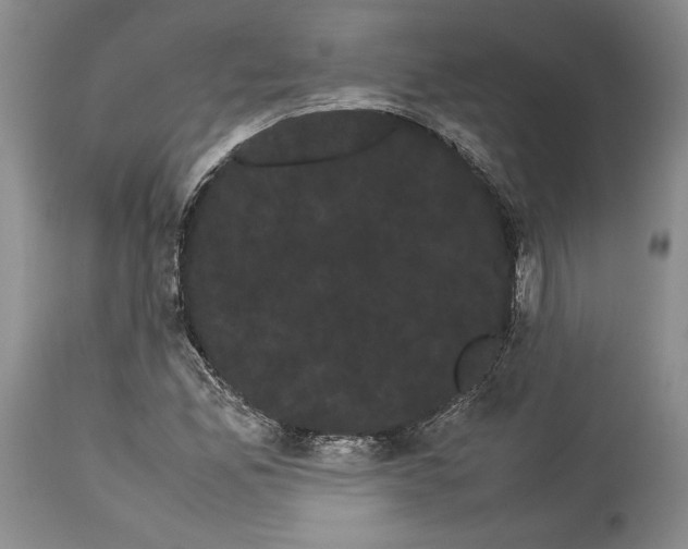 X0000114191165200910231314