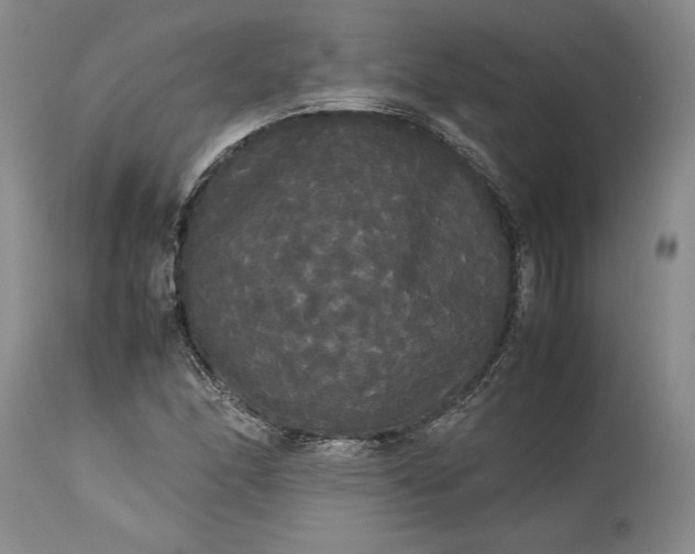 X0000114191166200910231314