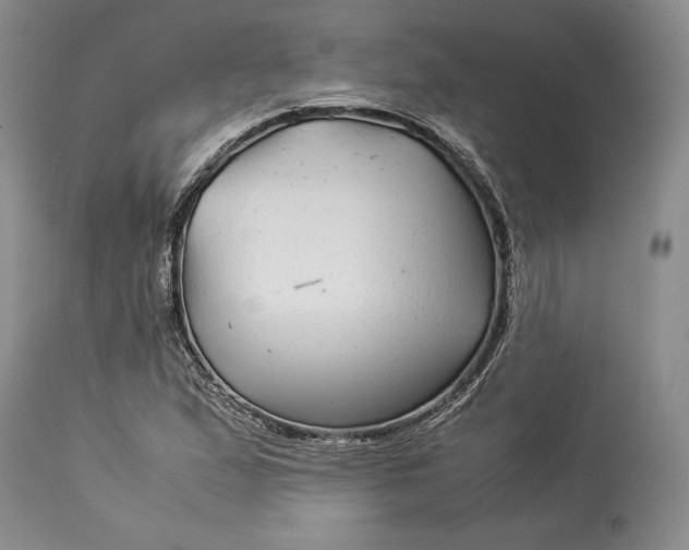 X0000114191167200910231314