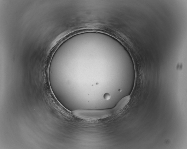 X0000114191168200910231314