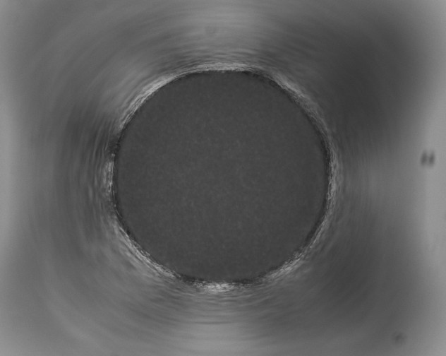 X0000114191169200910231314