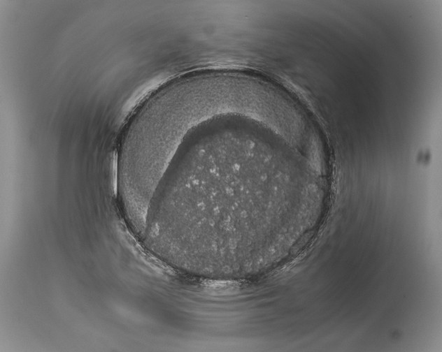 X0000114191171200910231314