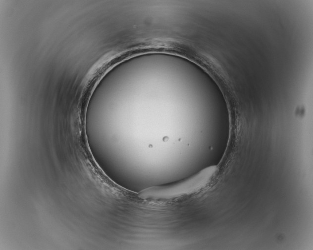 X0000114191172200910231314