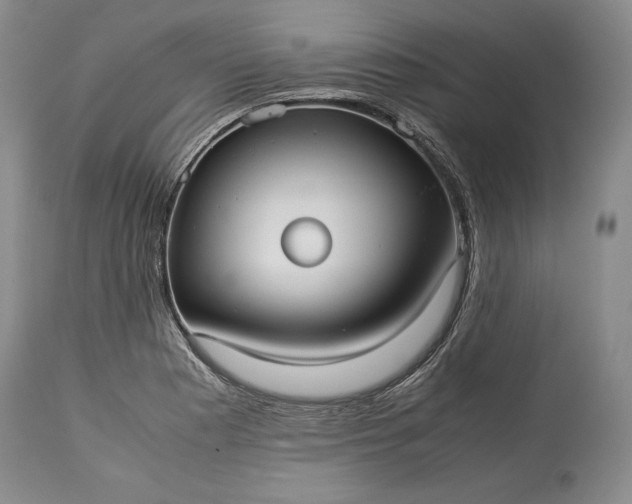 X0000114191177200910231314