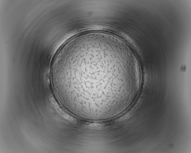 X0000114191178200910231314