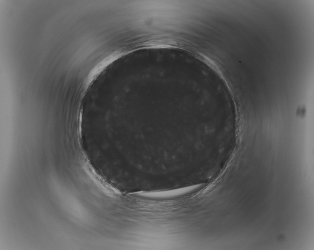 X0000114191179200910231314