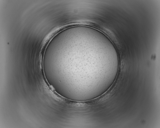 X0000114191180200910231314