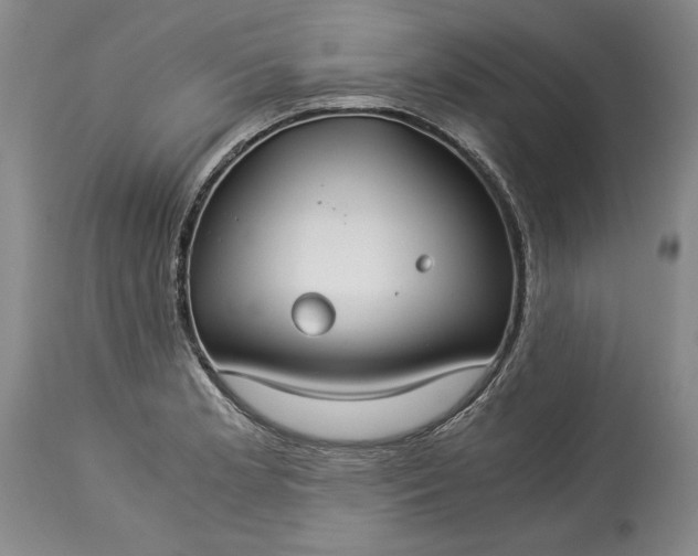 X0000114191181200910231314