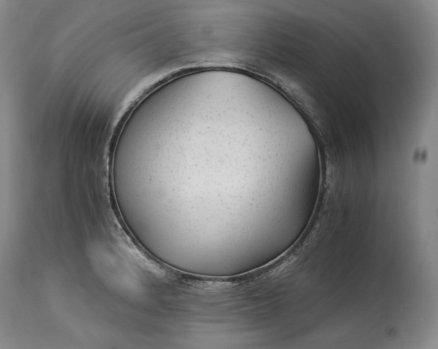 X0000114191184200910231314
