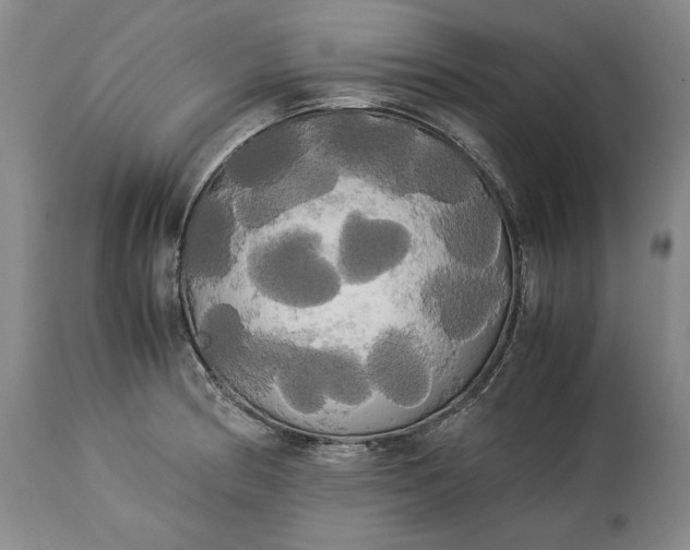 X0000114191186200910231314