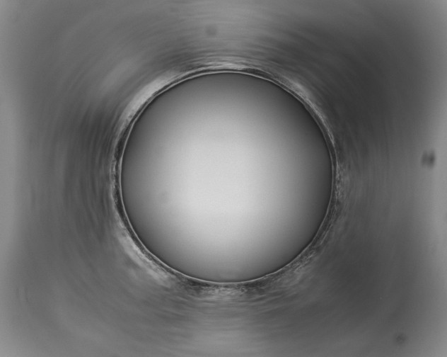 X0000114191187200910231314