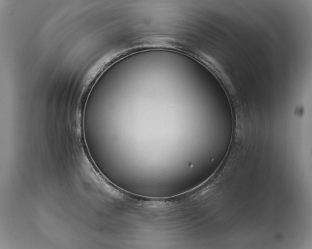 X0000114191188200910231314
