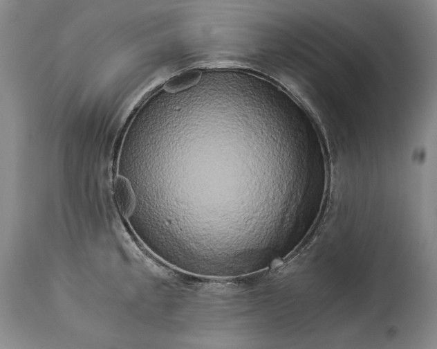 X0000114191189200910231314
