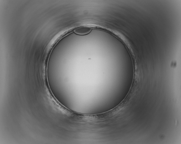 X0000114191191200910231314
