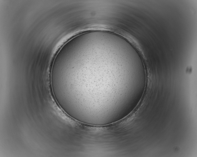 X0000114191192200910231314