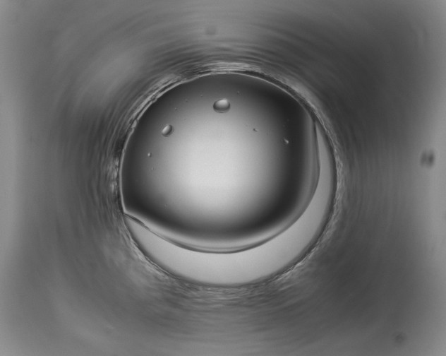 X0000114191193200910231314