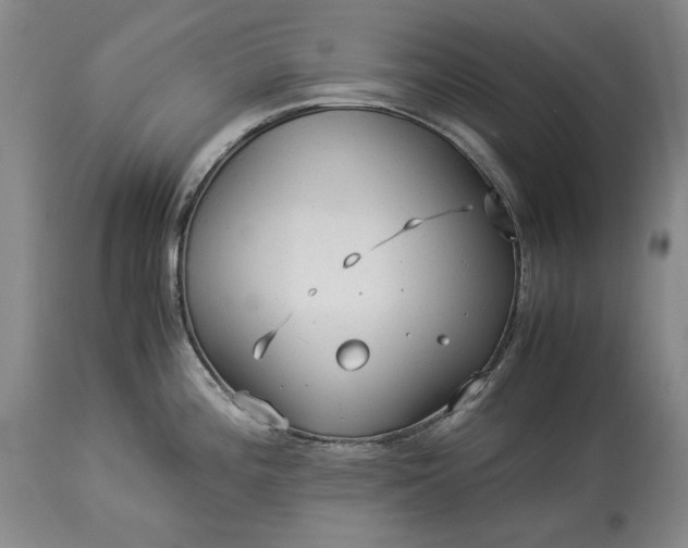 X0000114191196200910231314
