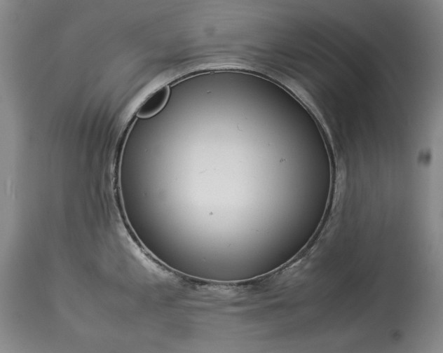X0000114191197200910231314