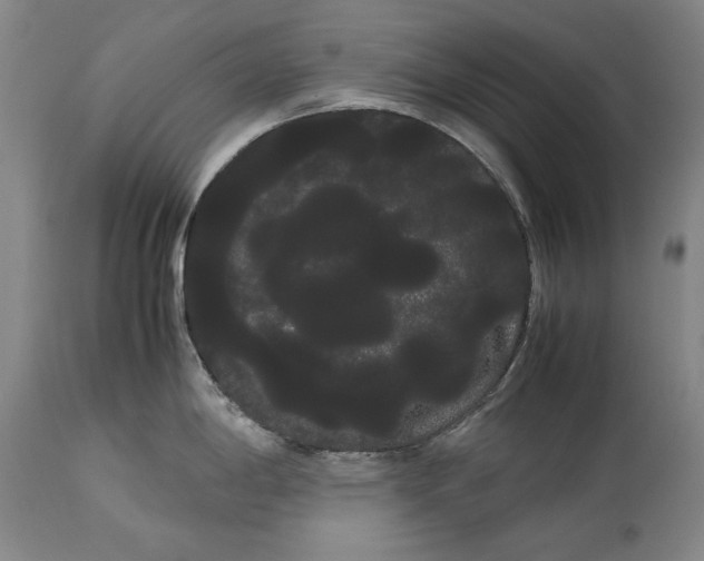 X0000114191198200910231314