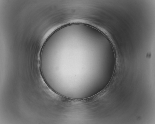 X0000114191199200910231313