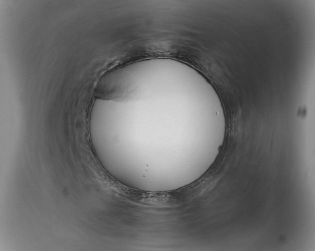X0000114191201200910231313