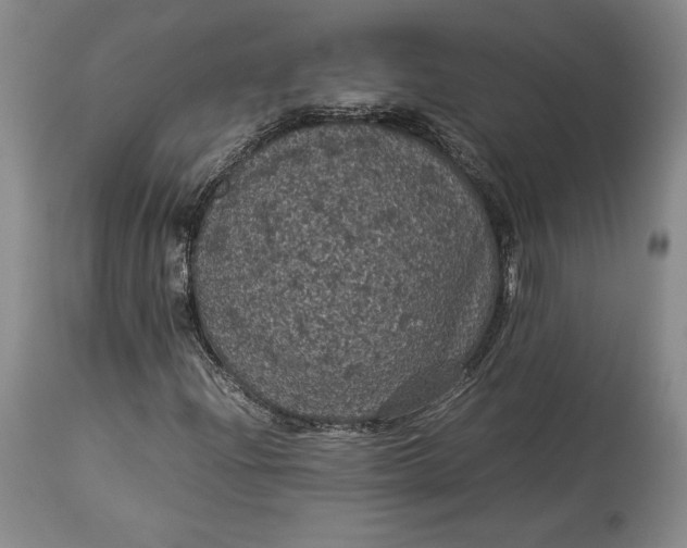 X0000114191204200910231313
