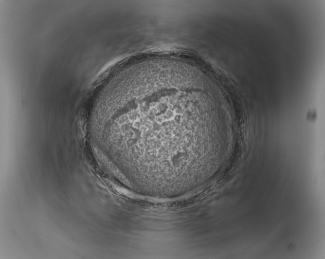 X0000114191206200910231313