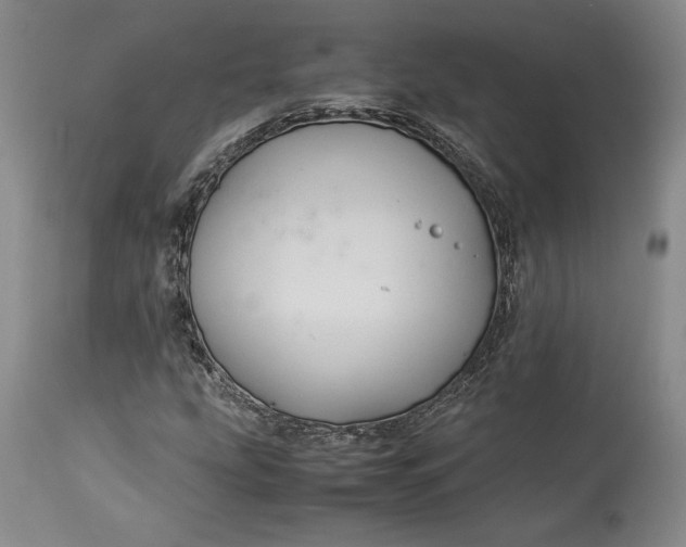 X0000114191207200910231313