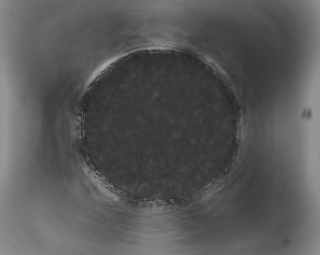 X0000114191208200910231313