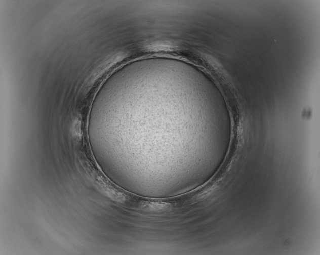 X0000114191209200910231313