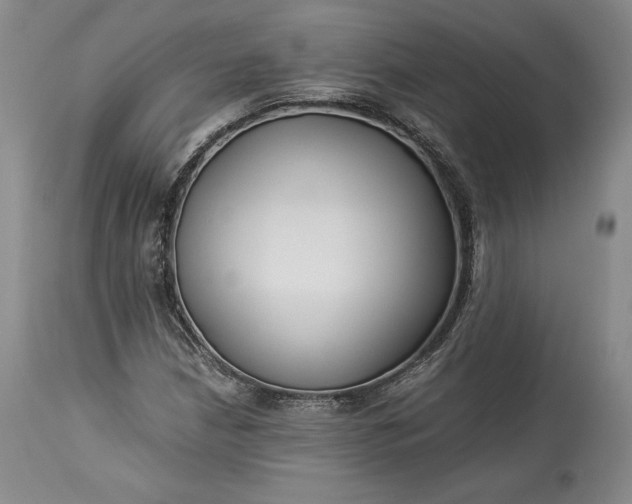 X0000114191210200910231313