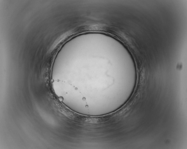 X0000114191211200910231313
